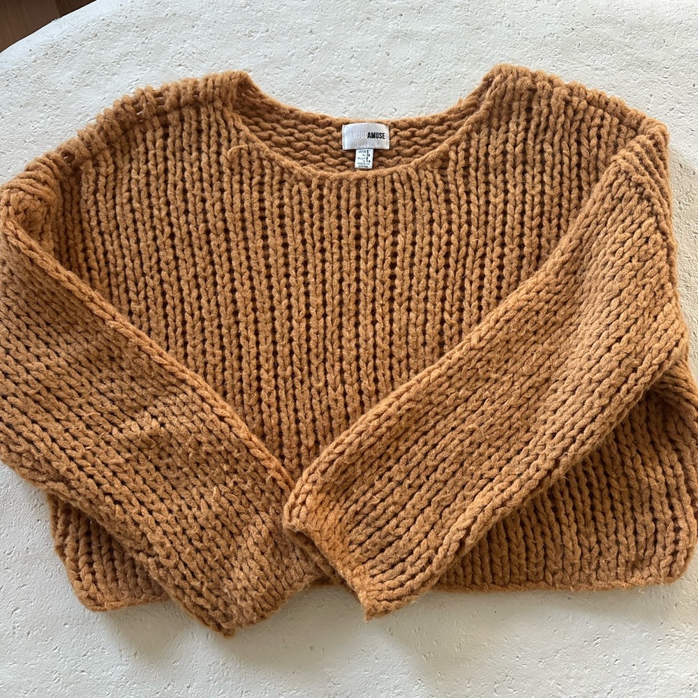 Amuse Society Sweater